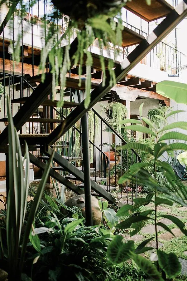 أنتيغوا غواتيمالا Cacao Boutique Hotel