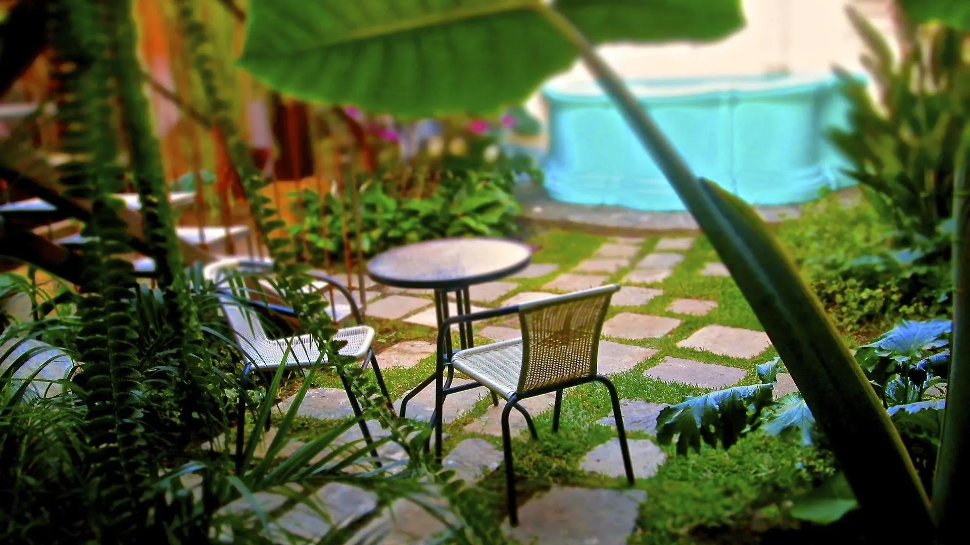 أنتيغوا غواتيمالا Cacao Boutique Hotel